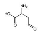 2-amino-4-oxobutanoic acid structure