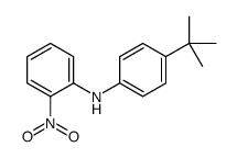 N-(4-tert-butylphenyl)-2-nitroaniline Structure