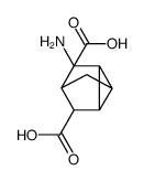 Tricyclo[2.2.1.02,6]heptane-3,5-dicarboxylic acid, 3-amino-, structure