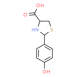(R)-2-(4-HYDROXY-PHENYL)-THIAZOLIDINE-4-CARBOXYLIC ACID结构式