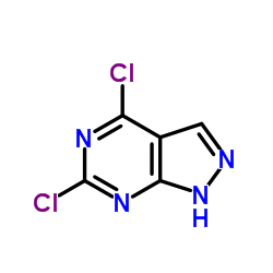 4,6-Dichloro-1H-pyrazolo[3,4-d]pyrimidine Structure