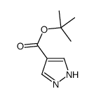 吡唑-4-羧酸叔丁酯结构式