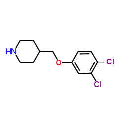 4-[(3,4-Dichlorophenoxy)methyl]piperidine Structure
