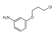 3-(3-CHLORO-PROPOXY)ANILINE structure