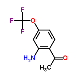 1-[2-氨基-4-(三氟甲氧基)苯基]-乙酮结构式