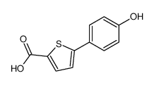 5-p-hydroxyphenyl-2-thenoic acid picture