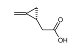 (1R)-methylenecyclopropaneacetic acid Structure