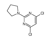4,6-dichloro-2-pyrrolidin-1-ylpyrimidine结构式