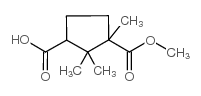 3-(METHOXYCARBONYL)-2,2,3-TRIMETHYLCYCLOPENTANE-1-CARBOXYLIC ACID Structure