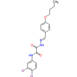 2-[(2E)-2-(4-Butoxybenzylidene)hydrazino]-N-(3,4-dichlorophenyl)-2-oxoacetamide结构式