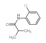 N-(2-chlorophenyl)-2-methyl-propanamide picture
