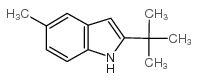 2-tert-butyl-5-methyl-1H-indole Structure