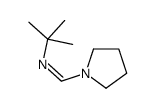 2-Propanamine, 2-methyl-N2-[1-tetrahydro-1H-1-pyrrolylmethylidene]结构式