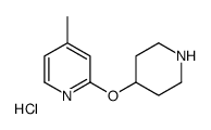 4-Methyl-2-(piperidin-4-yloxy)-pyridine hydrochloride structure