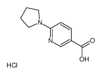 6-pyrrolidin-1-ylpyridine-3-carboxylic acid hydrochloride Structure