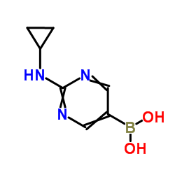[2-(Cyclopropylamino)-5-pyrimidinyl]boronic acid结构式