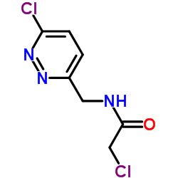 2-Chloro-N-[(6-chloro-3-pyridazinyl)methyl]acetamide结构式