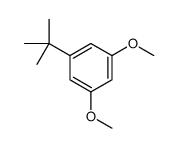 1-tert-butyl-3,5-dimethoxybenzene结构式