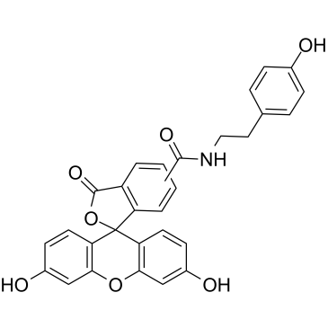 Fluorescein tyramide structure