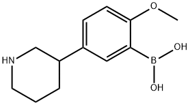 2-Methoxy-5-(piperidin-3-yl)phenylboronic acid picture