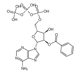 5'-(2'-O-benzoyl)adenosine triphosphate Structure