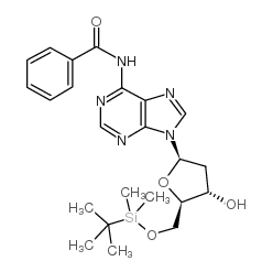 N-苯甲酰基-5'-O-叔丁基二甲基硅烷基- 2'-脱氧腺苷图片