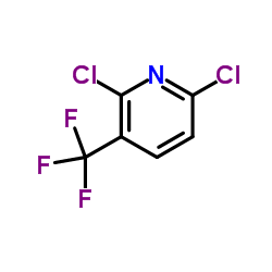 2,6-Dichloro-3-trifluoromethylpyridine picture