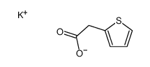 potassium,2-thiophen-2-ylacetate Structure