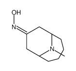 N-(10-methyl-10-azabicyclo[4.3.1]decan-8-ylidene)hydroxylamine结构式