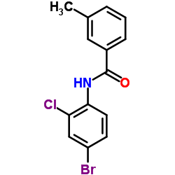 N-(4-Bromo-2-chlorophenyl)-3-methylbenzamide结构式