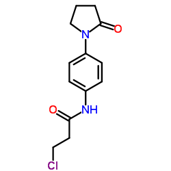 3-Chloro-N-[4-(2-oxo-1-pyrrolidinyl)phenyl]propanamide picture