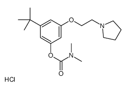 [3-tert-butyl-5-(2-pyrrolidin-1-ylethoxy)phenyl] N,N-dimethylcarbamate,hydrochloride结构式