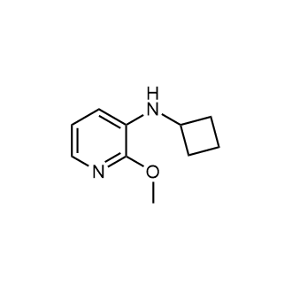 n-Cyclobutyl-2-methoxypyridin-3-amine Structure