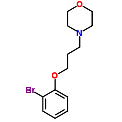 4-[3-(2-Bromophenoxy)propyl]morpholine Structure