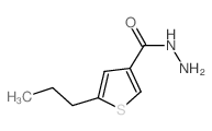 5-丙基噻吩-3-碳酰肼结构式