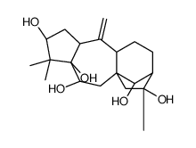Grayanotoxin II Structure