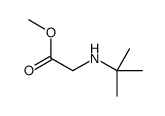 methyl 2-(tert-butylamino)acetate Structure