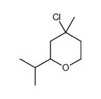4-chloro-4-methyl-2-propan-2-yloxane Structure