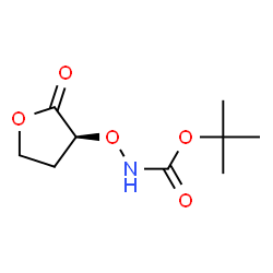 Carbamic acid, [[(3S)-tetrahydro-2-oxo-3-furanyl]oxy]-, 1,1-dimethylethyl ester结构式