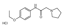 N-(4-ethoxyphenyl)-2-(2,3,4,5-tetrahydropyrrol-1-yl)acetamide chloride Structure