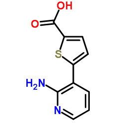 5-(2-Amino-3-pyridinyl)-2-thiophenecarboxylic acid结构式