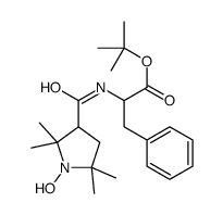 N-((2,2,5,5-tetramethyl-1-oxypyrrolidin-3-yl)carbonyl)phenylalanine tert-butyl ester Structure