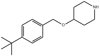 4-([4-(TERT-BUTYL)BENZYL]OXY)PIPERIDINE Structure