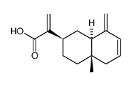 dehydrocostic acid Structure