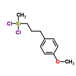 Dichloro[3-(4-methoxyphenyl)propyl]methylsilane picture