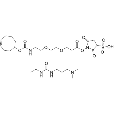 1-(3-(Dimethylamino)propyl)-3-ethylurea 1-((3-(2-(2-(((cyclooct-4-en-1-yloxy)carbonyl)amino)ethoxy)ethoxy)propanoyl)oxy)-2,5-dioxopyrrolidine-3-sulfonate picture