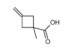 1-甲基-3-亚甲基环丁烷羧酸结构式