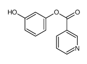 (3-hydroxyphenyl) pyridine-3-carboxylate结构式