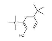 4-tert-butyl-2-trimethylsilylphenol结构式