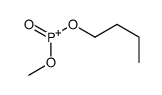 butoxy-methoxy-oxophosphanium结构式